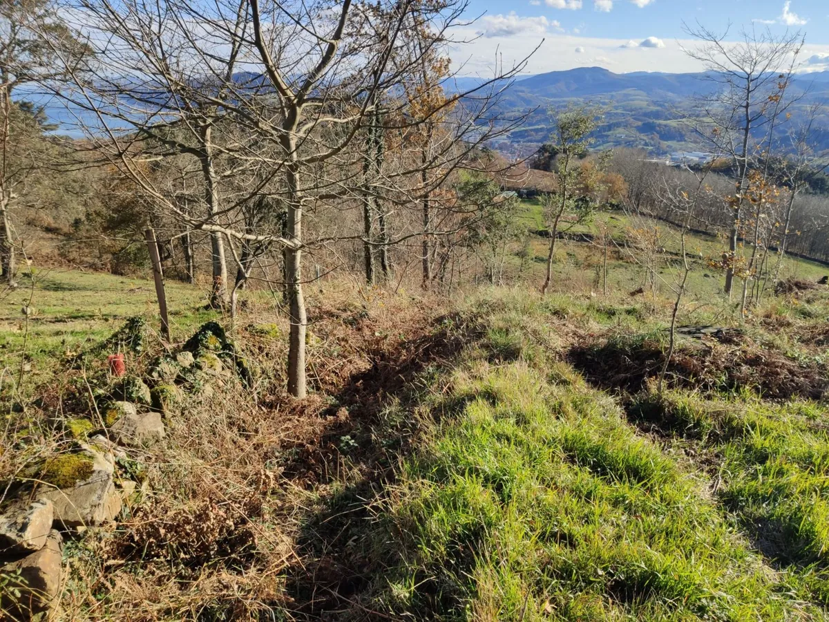 Garatemendi Trinchera