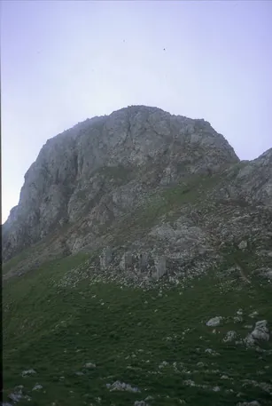 Udalatx