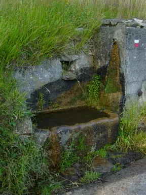 Fuente de Suña
