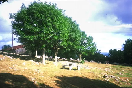 Udala