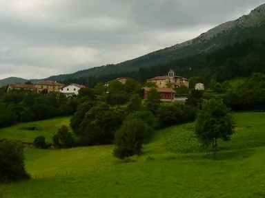 Udala