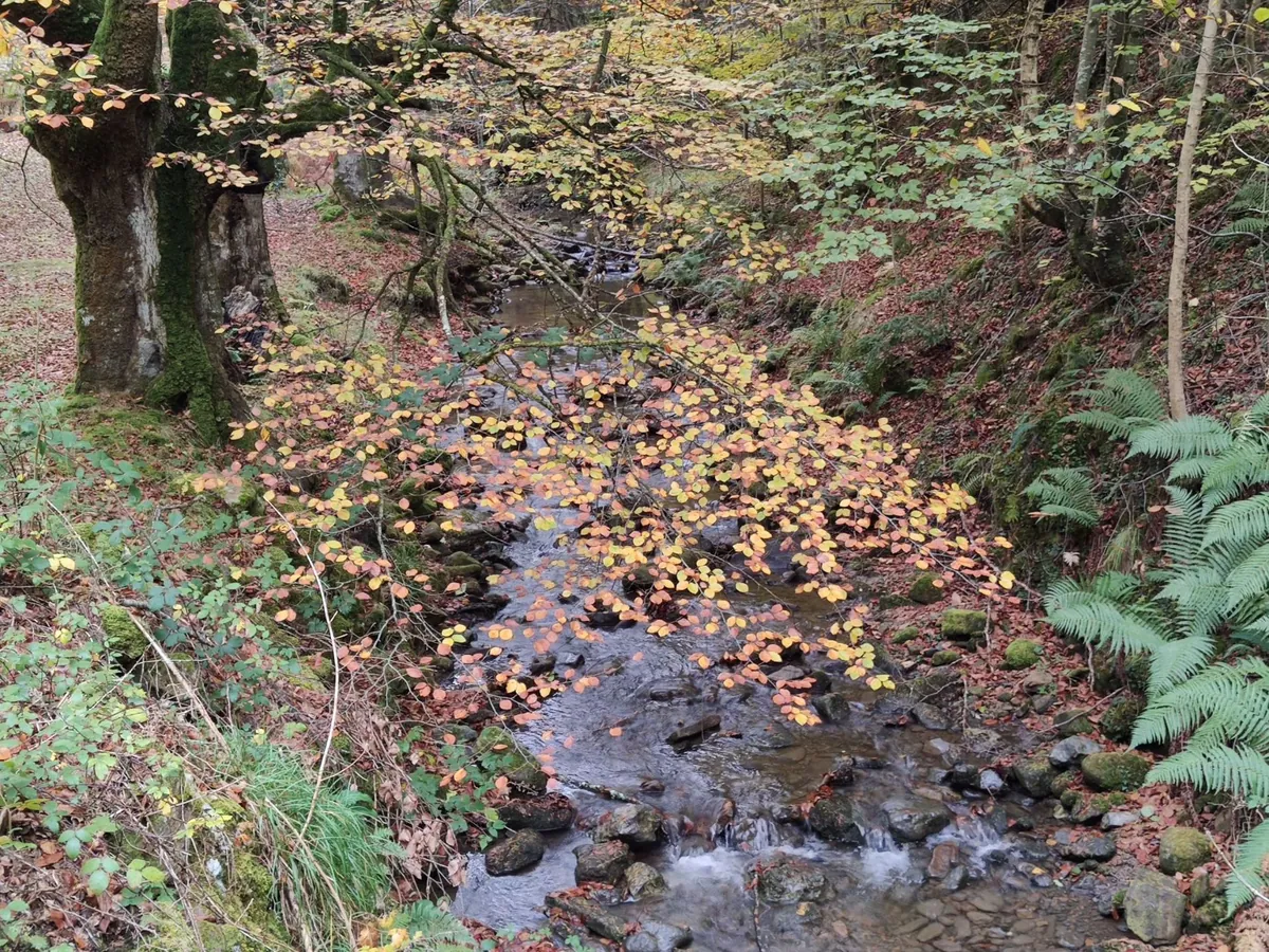 Río Bellotza