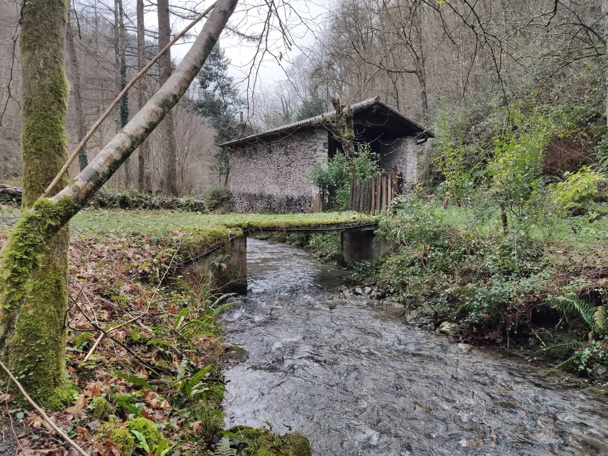 Río Basebe