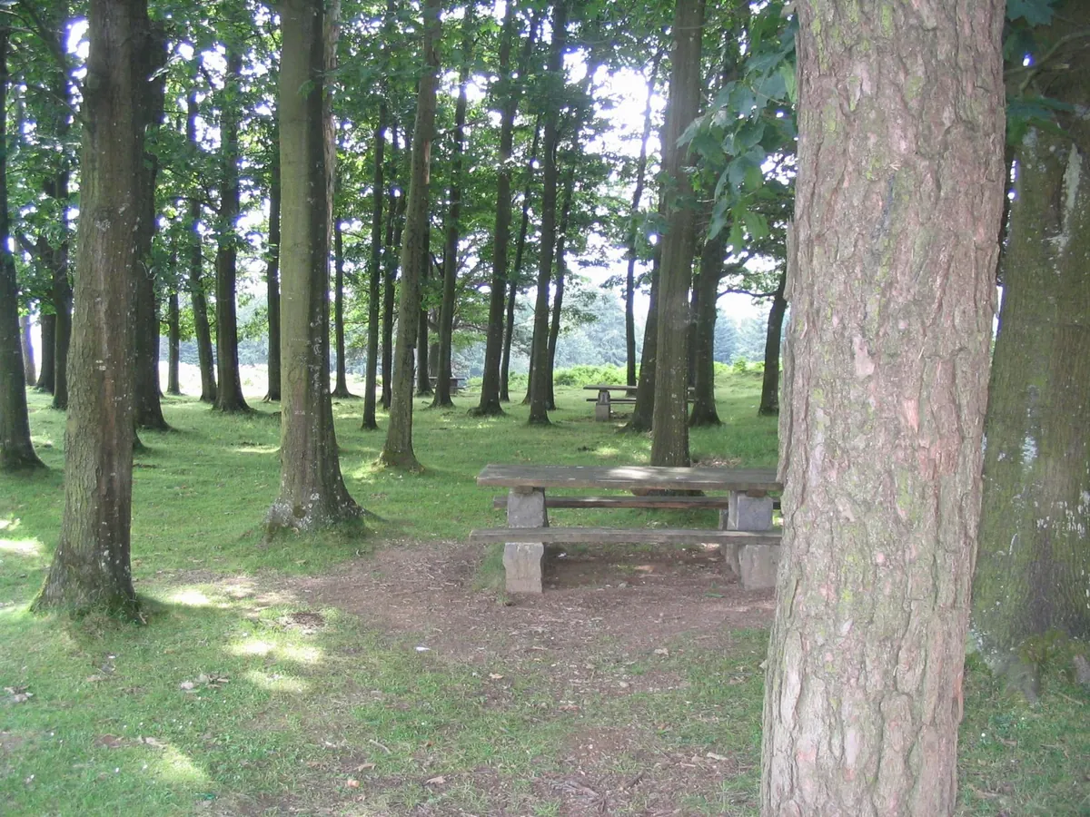 Pagoeder