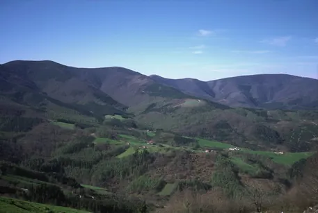 Sekillaga