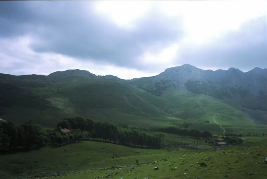 Urbia