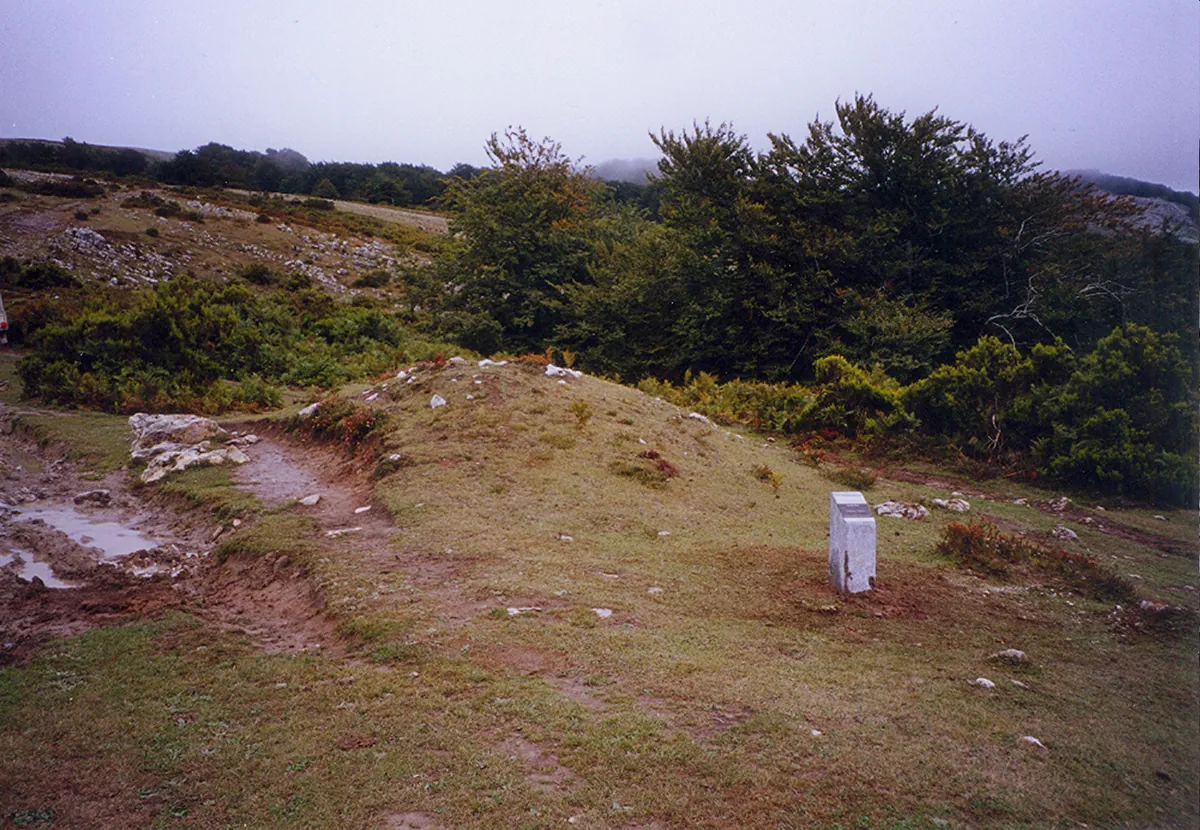 Alabitarte