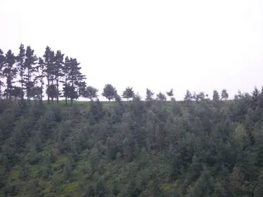 Majada de Olaragia