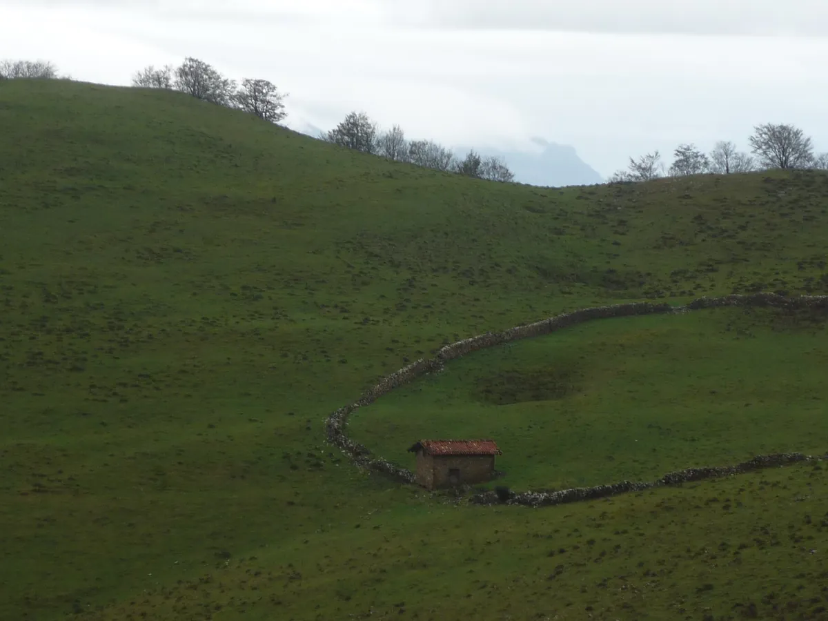 Elorreta