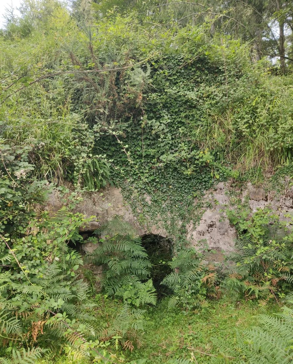 Calero de Gaztainuzketa
