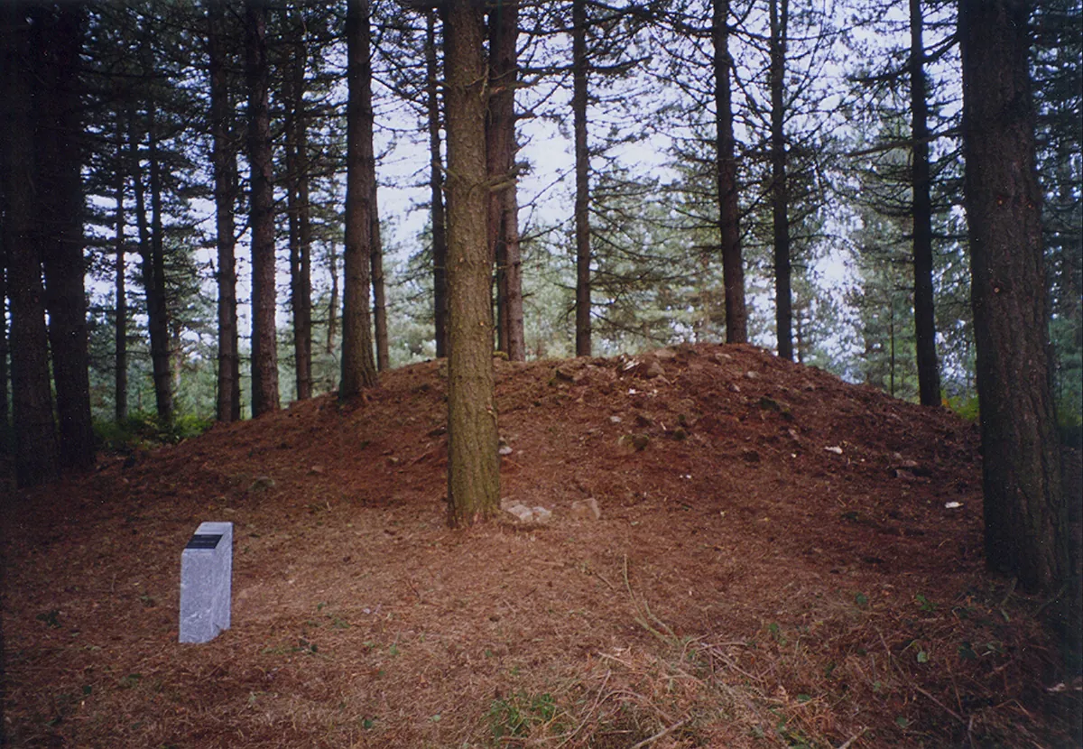 Bidaarte I