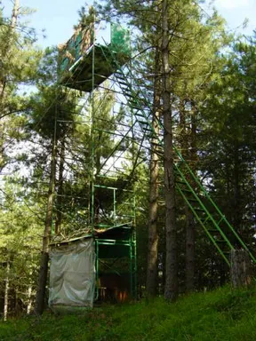 Palomeras de Otzaurte