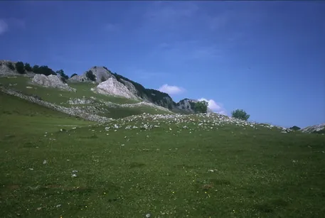 Pagobikoaitza