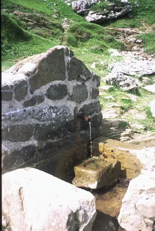 Fuente de Elola