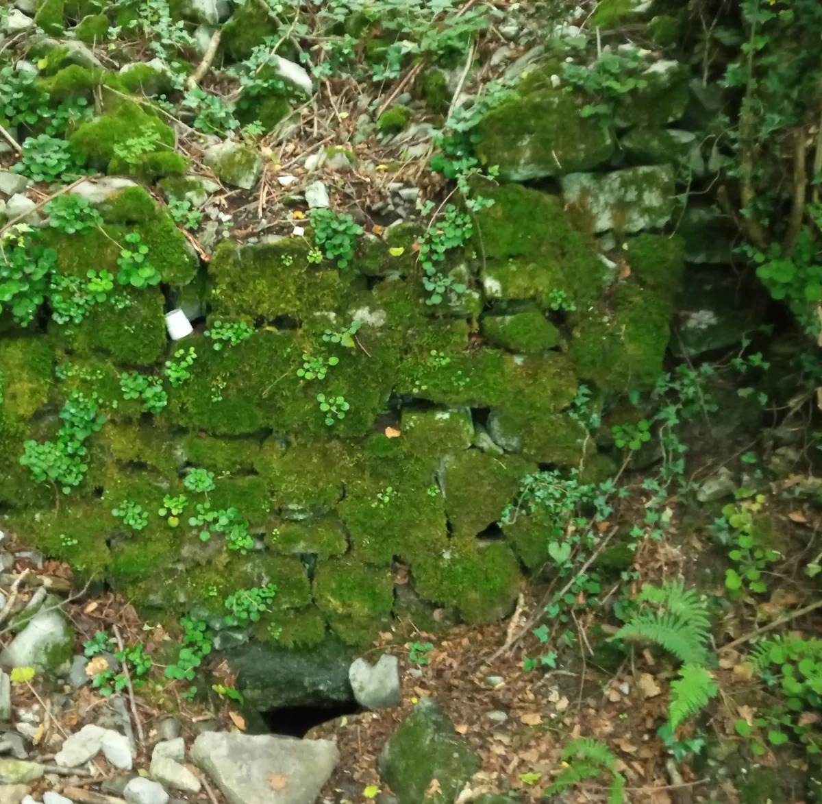 Fuente de Olatxo