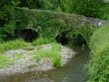 Zubiaundi
