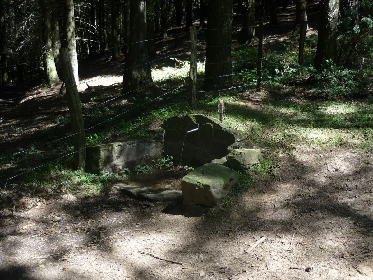 Fuente de Añabaso