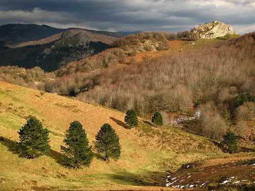 Hayedo de Altzania