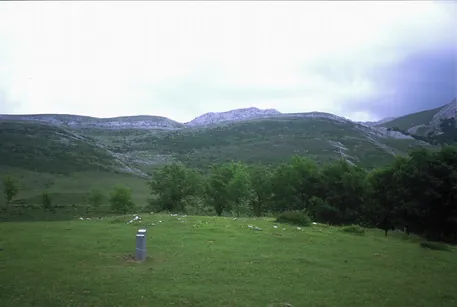 Gorostiaran e