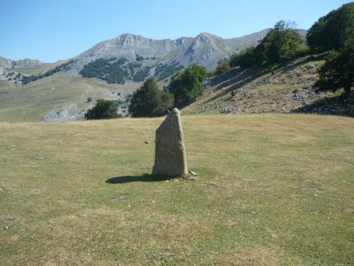 Zorrotzarri
