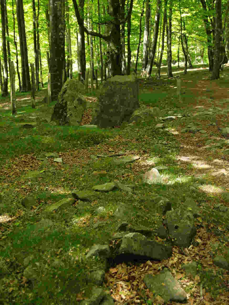 Dolmen de Berrenoa