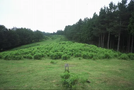 Hirukurutzeta