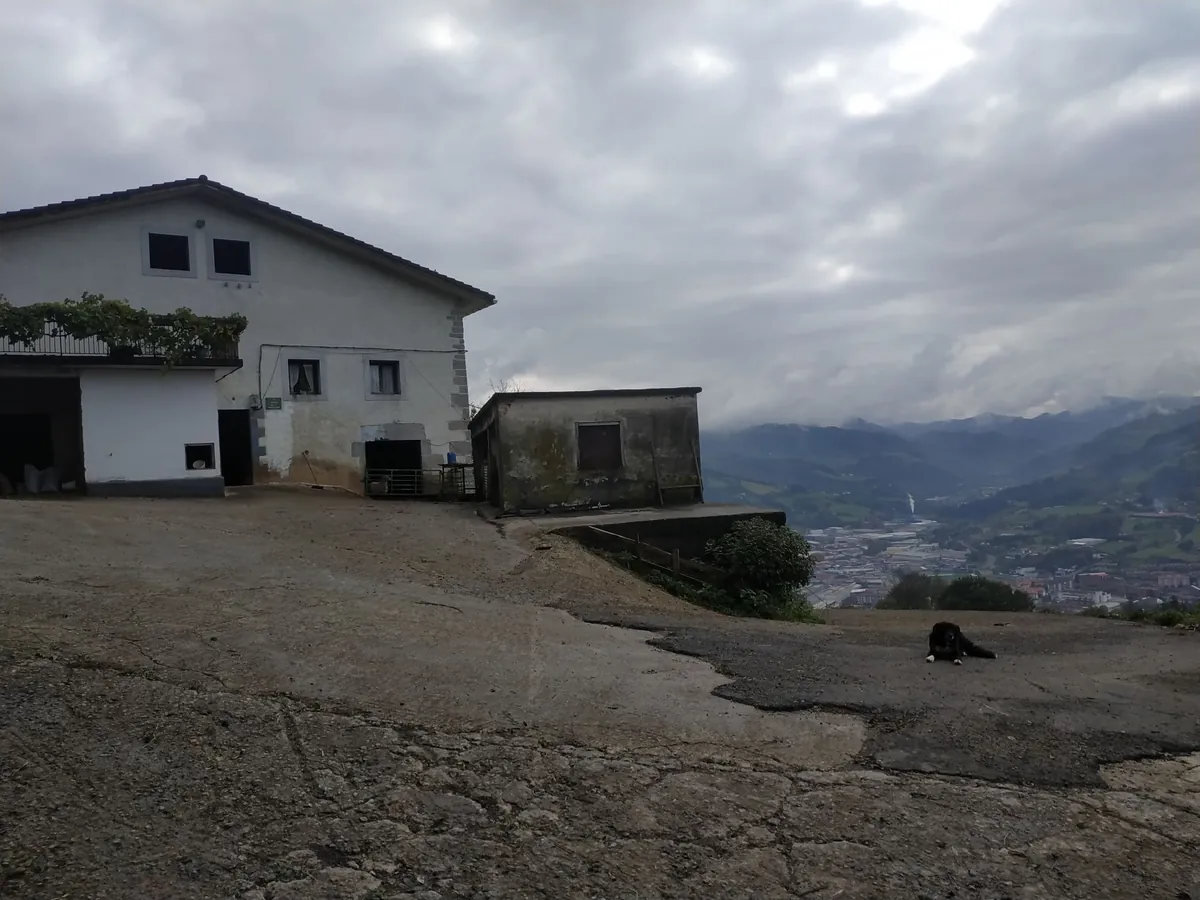 Urreta
