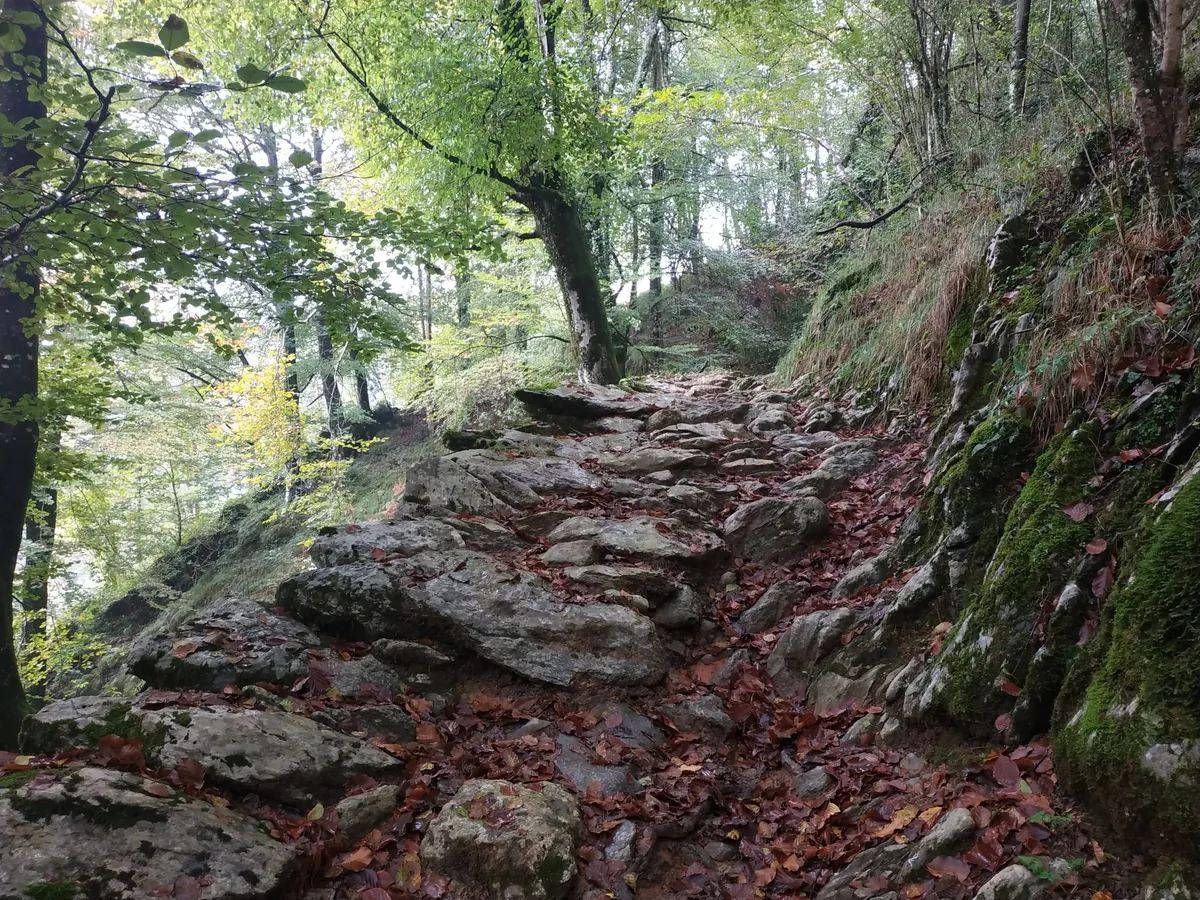 Alrdedores Caserío Urreta I