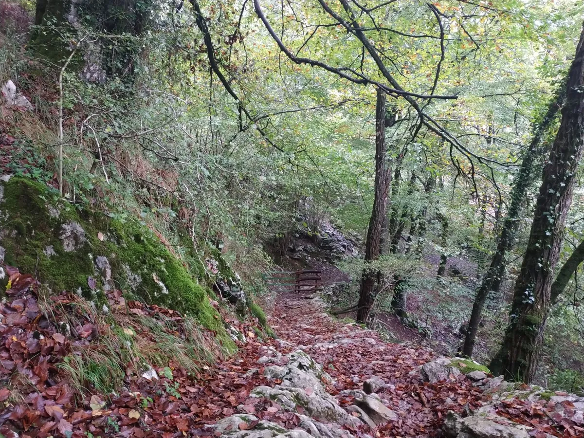 Alrdedores Caserío Urreta II