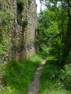 San Cipriano
