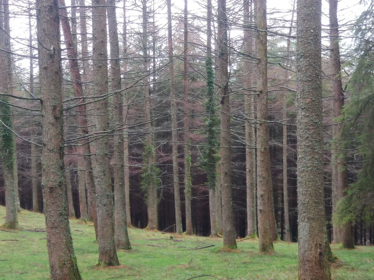 Aizkorri Haundi