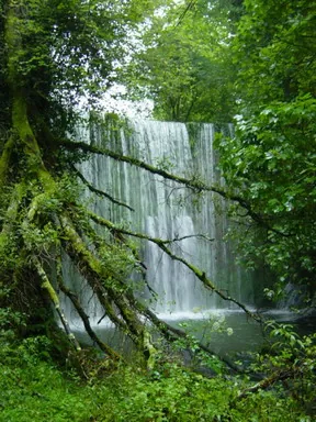 Presa de Goltzibar