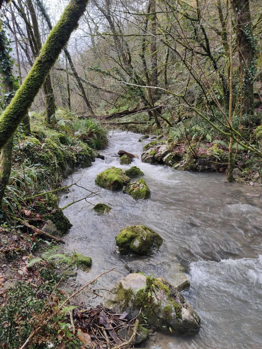 Río Zastarrain