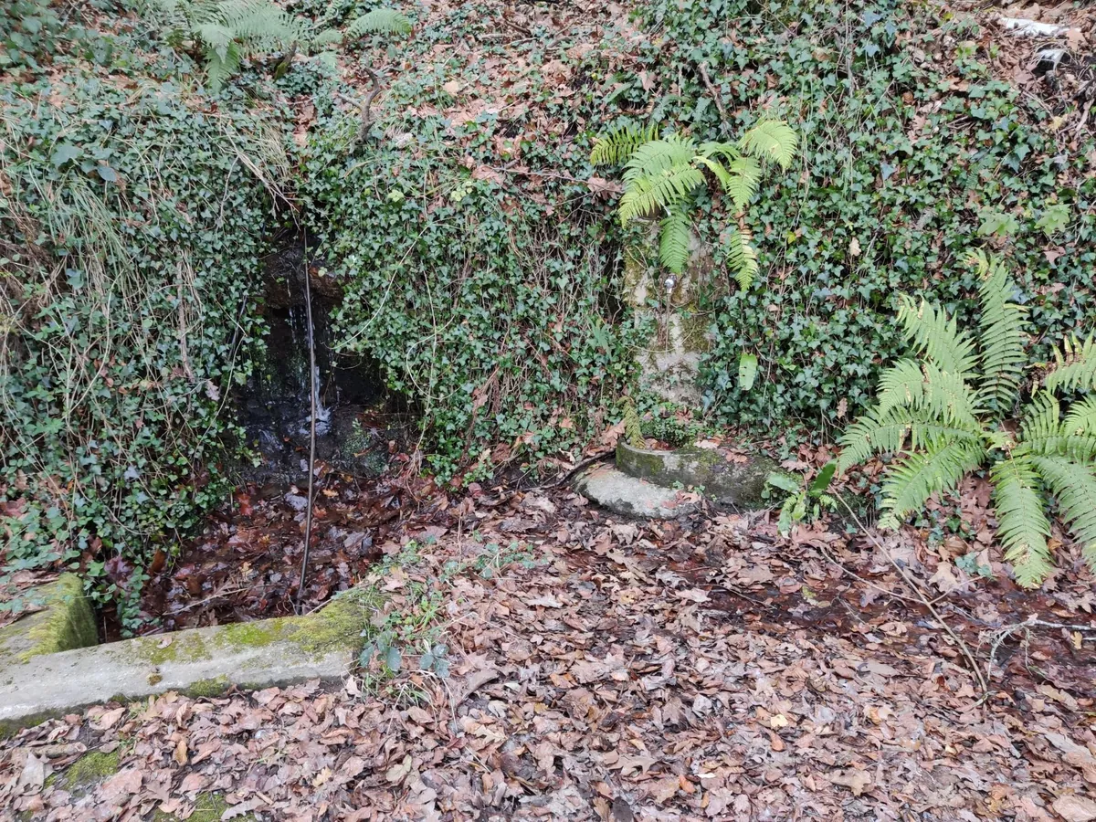 Fuente de Aspilla