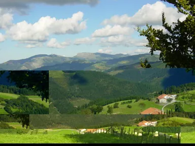 Murgil