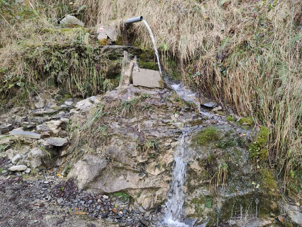 Fuente Bajo Samiño