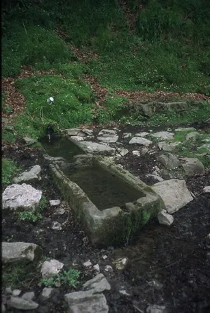 Fuente de Duru