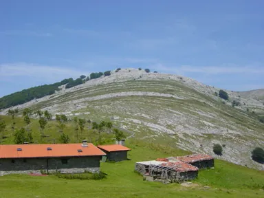 Zelatun