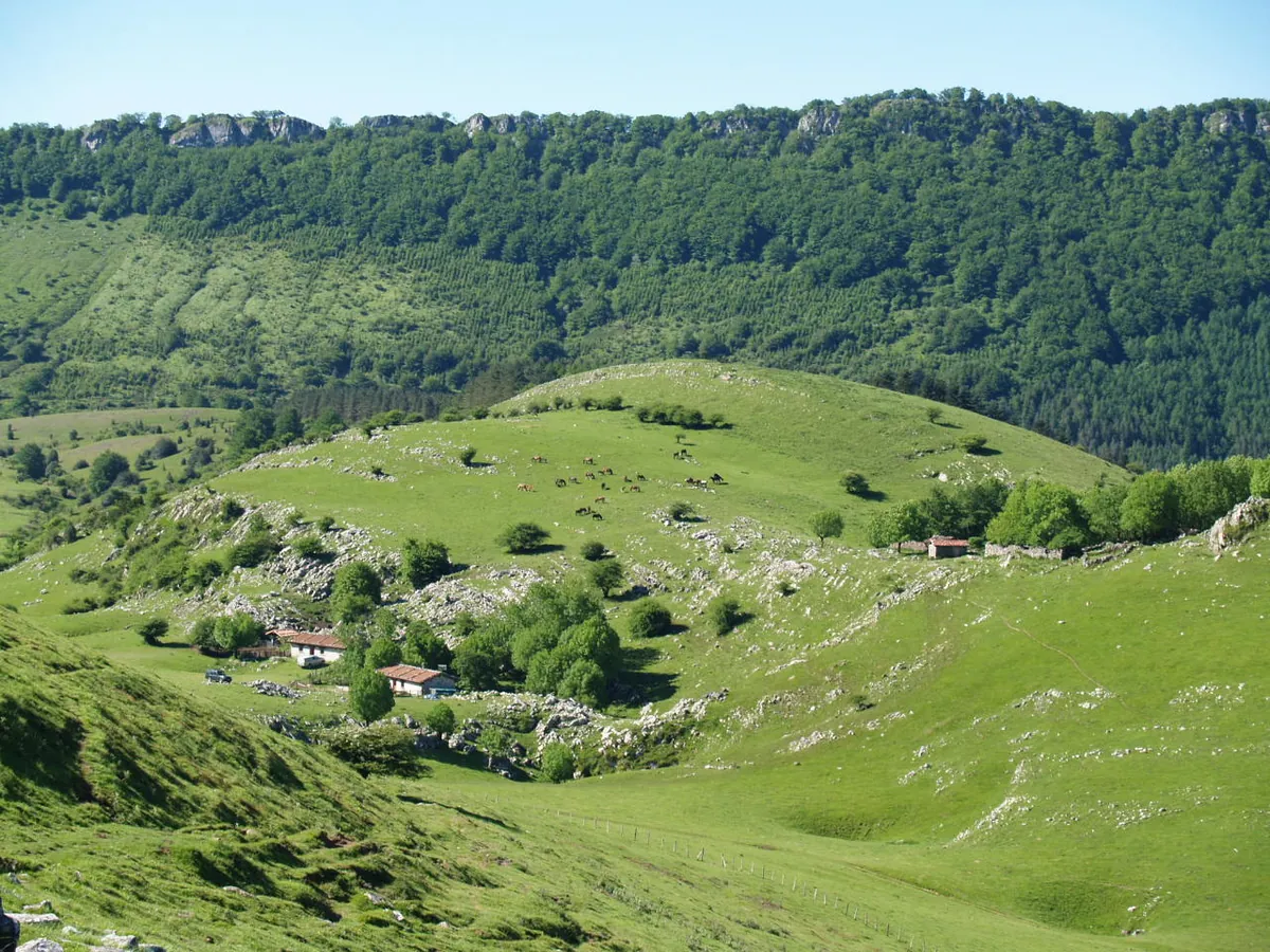 Pikueta