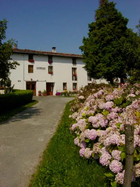 Abalin Goena