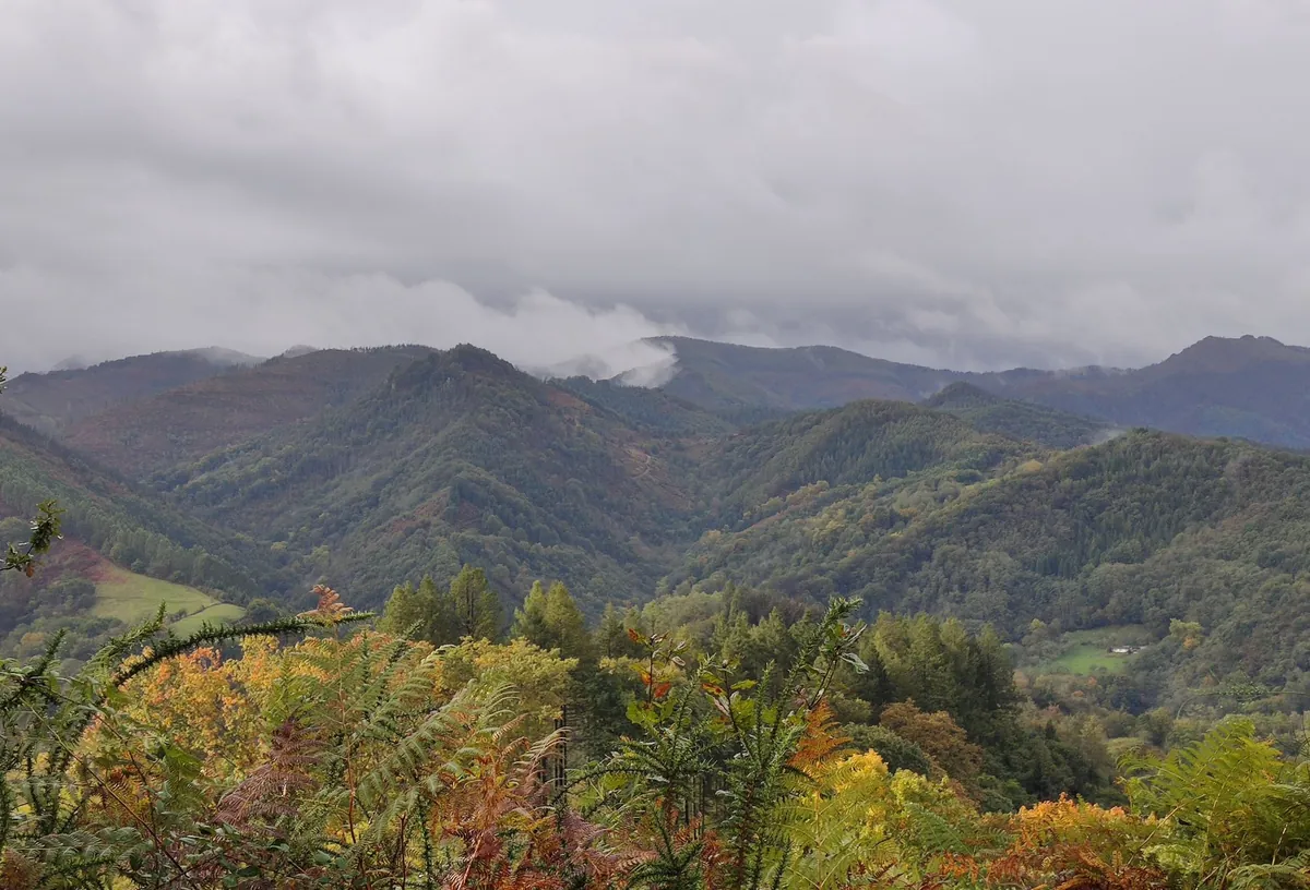 [PR-Gi 1001] Bosques de Ugaldetxo