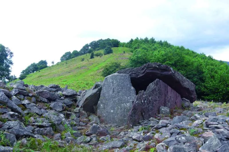 Dolmen de Sagastietako Lepua