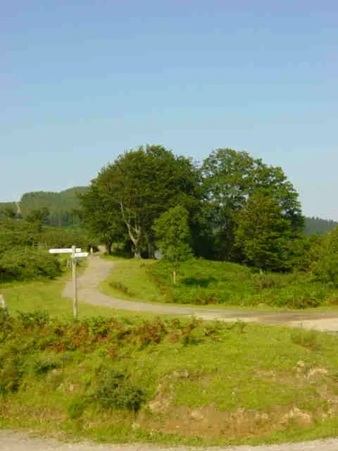Malmazar