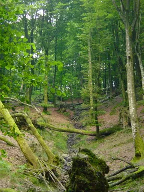 Collado de Untzegi