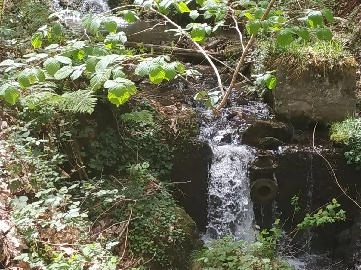 Saroberreka