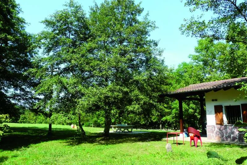Área Recreativa de Listorreta