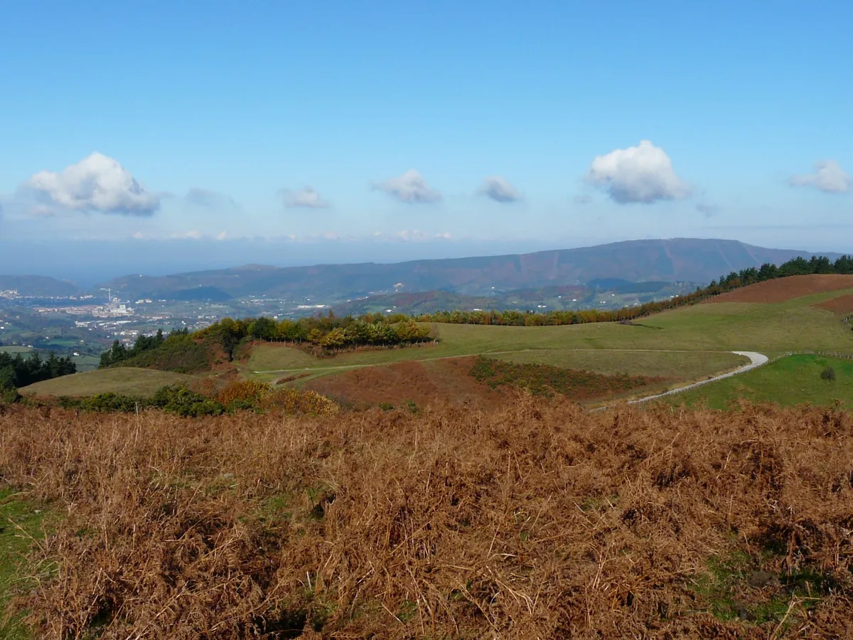 Vista Pilotasoro