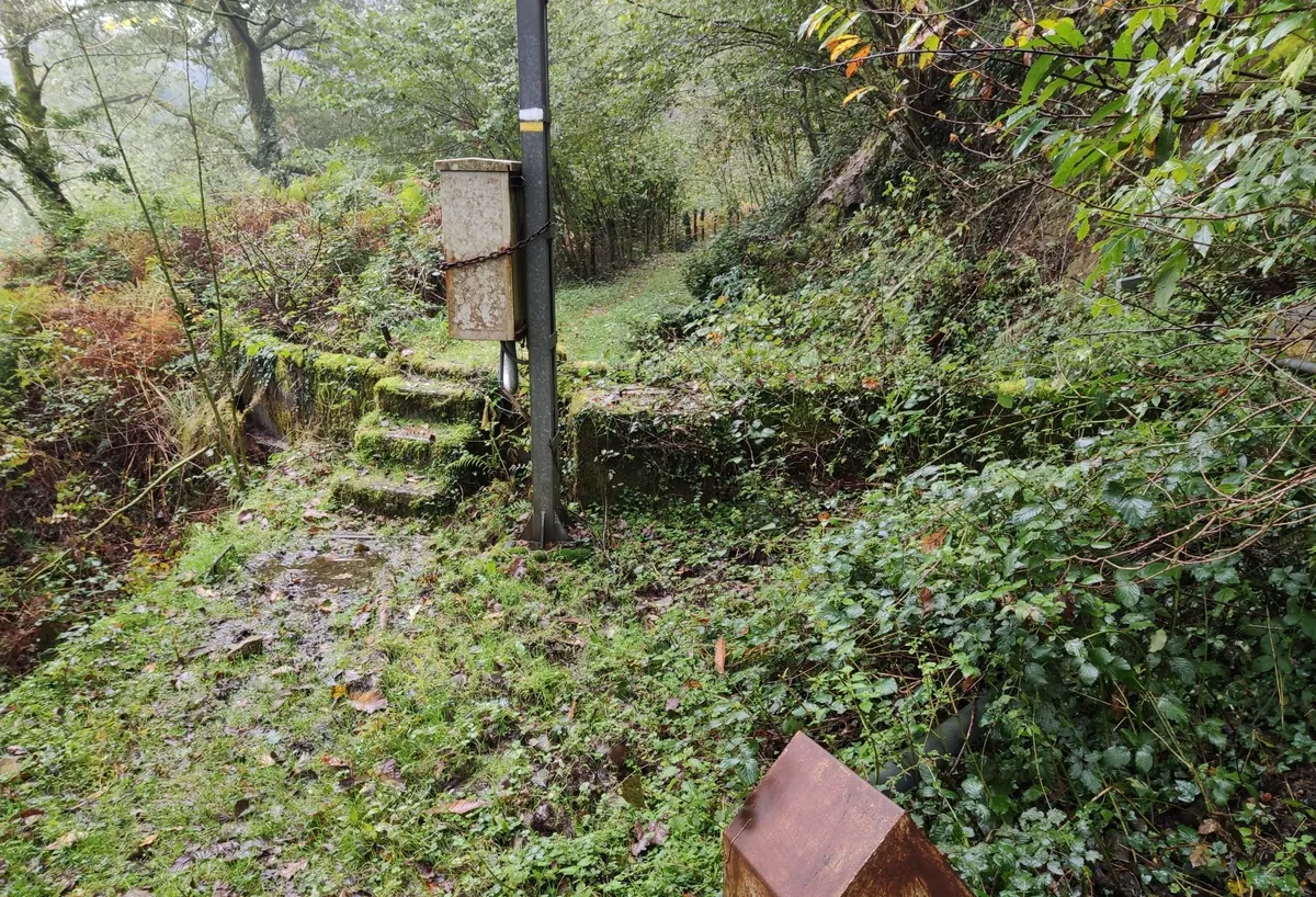 Fuente de Piedra