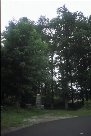 Kortakogain