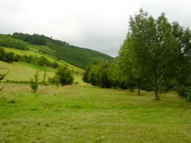 Usako